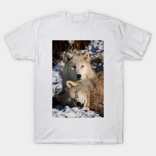 Arctic Wolves T-Shirt